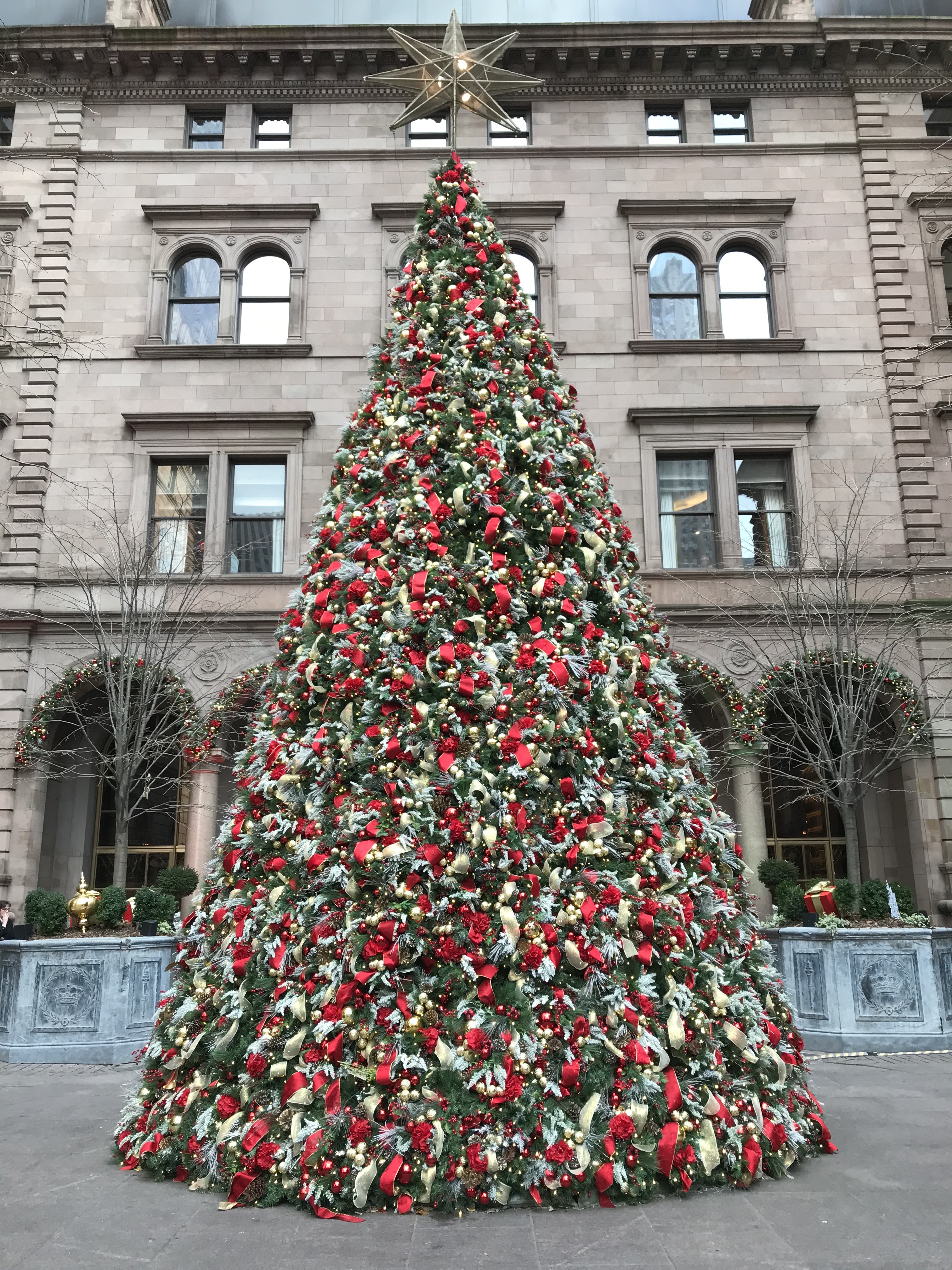 New York City Christmas tree.