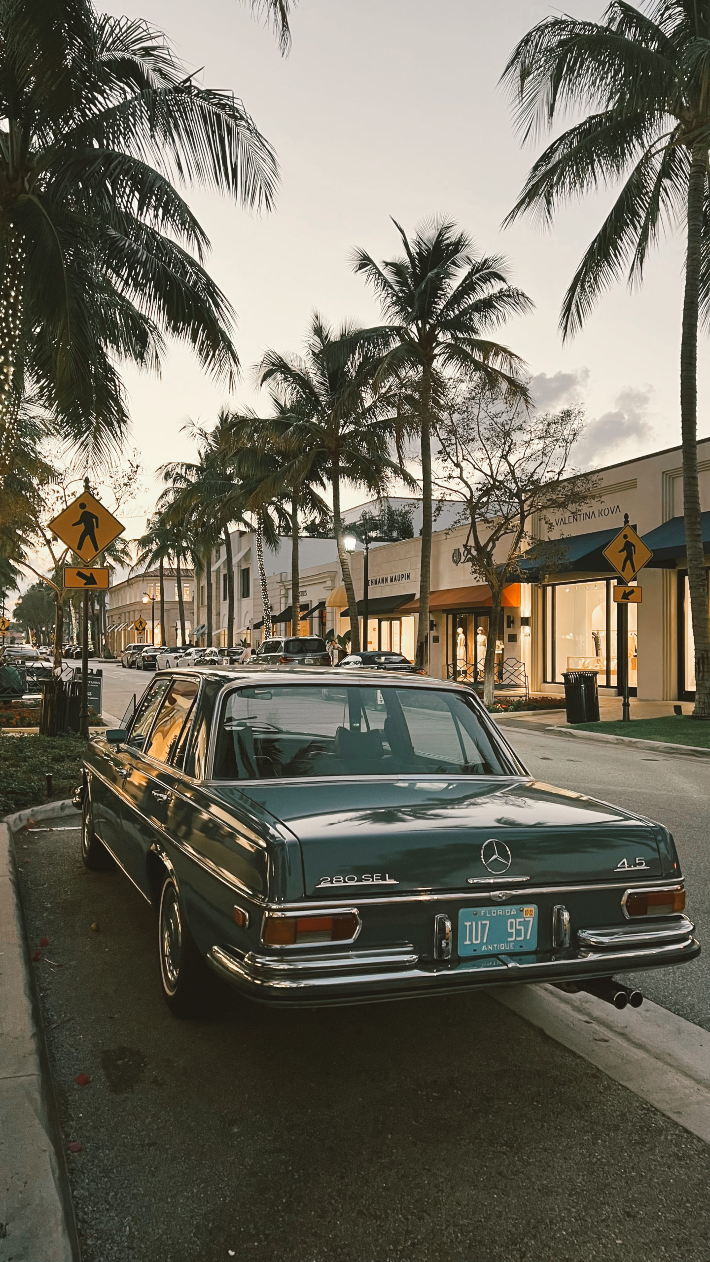 A photo of a car in front of palm trees.
