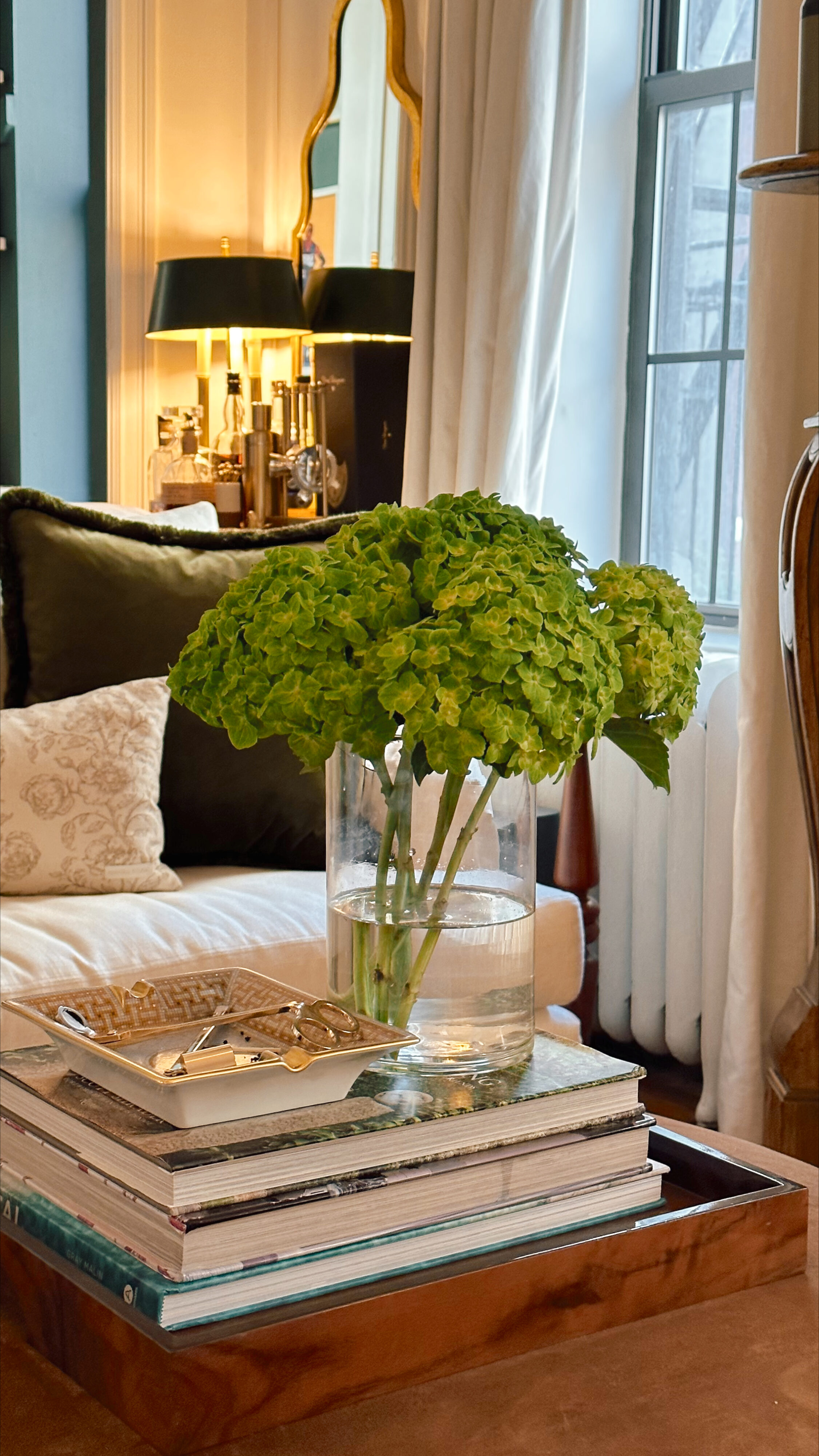 Anna's living room with a vase of green flowers in the frame.