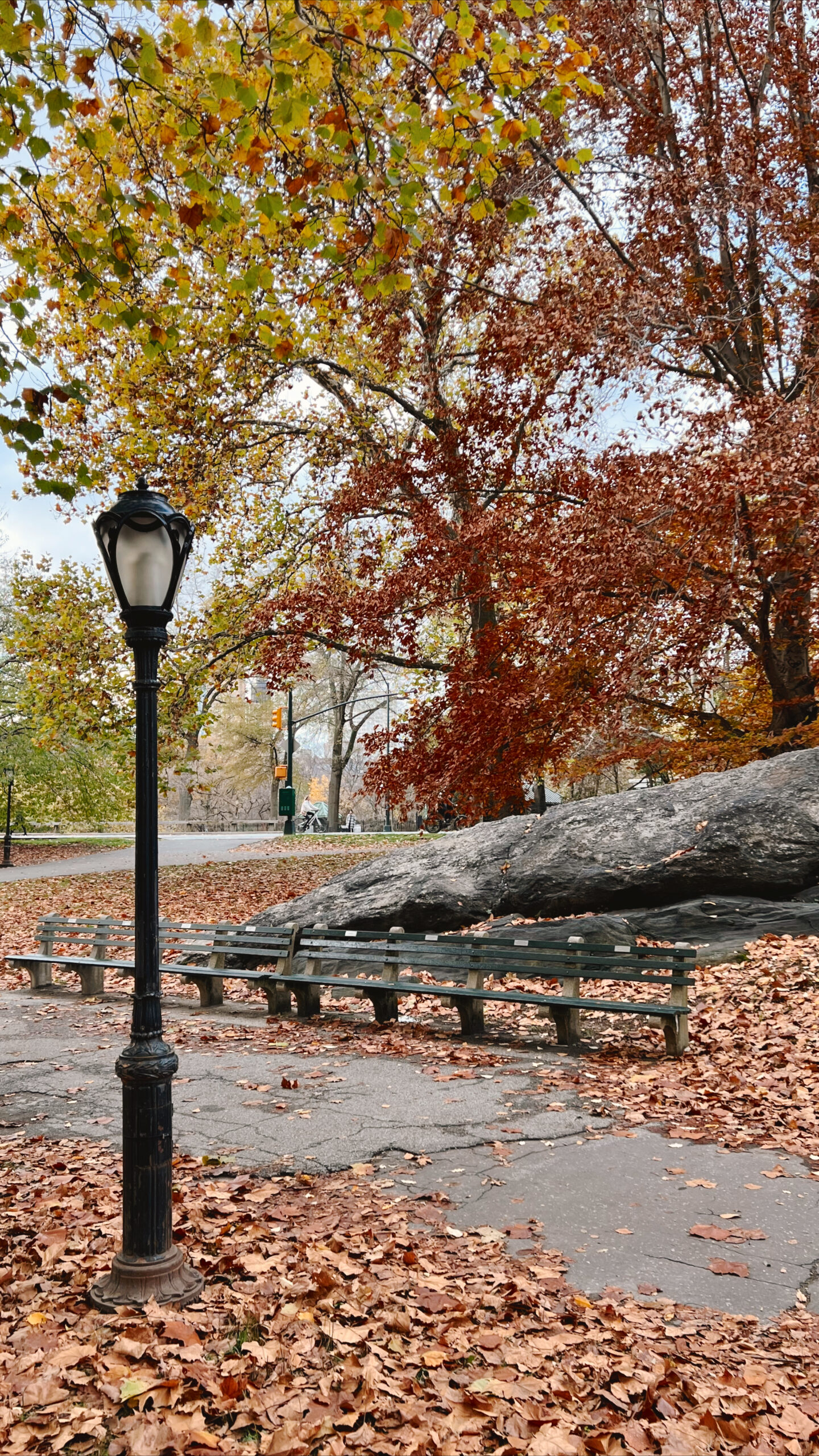 Fall foliage in Central Park with lamp post to the left of the photo.
