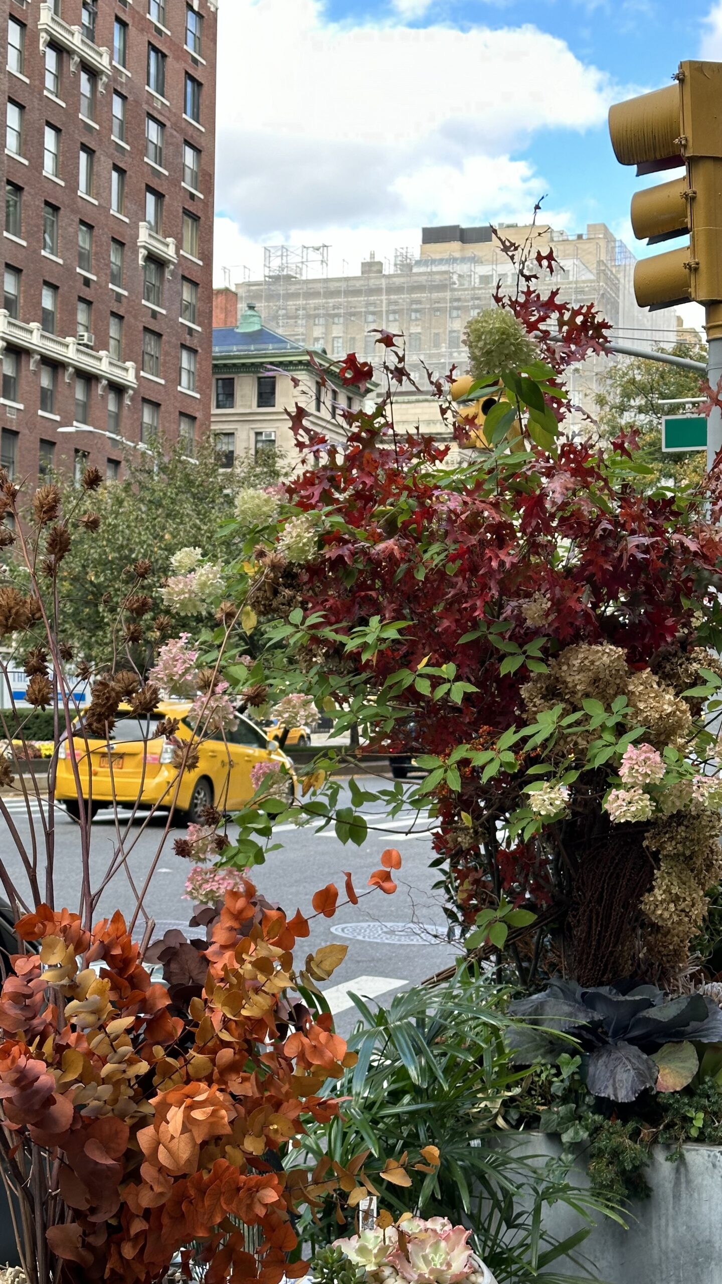 A photo of flowers with a New York City yellow taxi behind it.